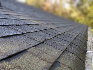 A beautiful moss free roof. Asphalt shingles treated with our bleach-free roof moss treatment, the West Coast Wash.